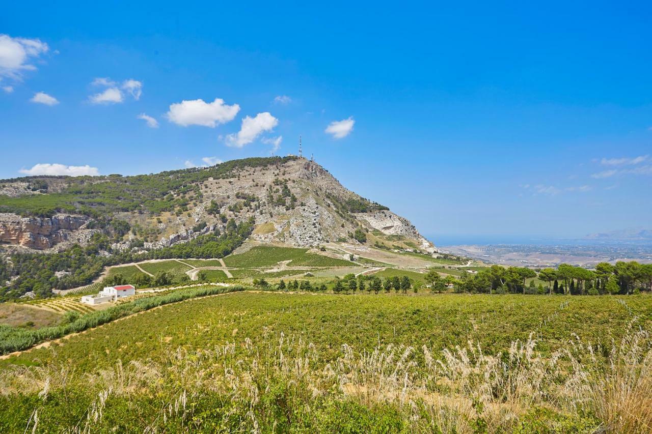 Villa Bonifato Vista Sulle Campagne E Sul Mare Siciliano Cozy House Italy Alcamo Bagian luar foto