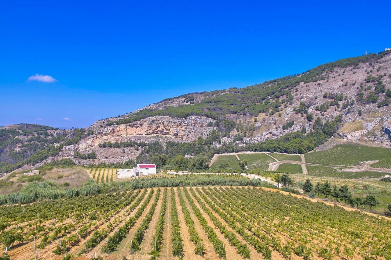 Villa Bonifato Vista Sulle Campagne E Sul Mare Siciliano Cozy House Italy Alcamo Bagian luar foto